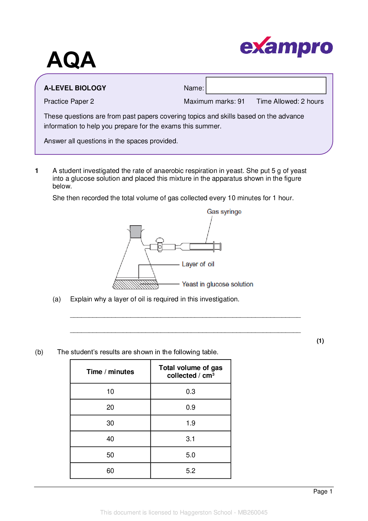 document-preview